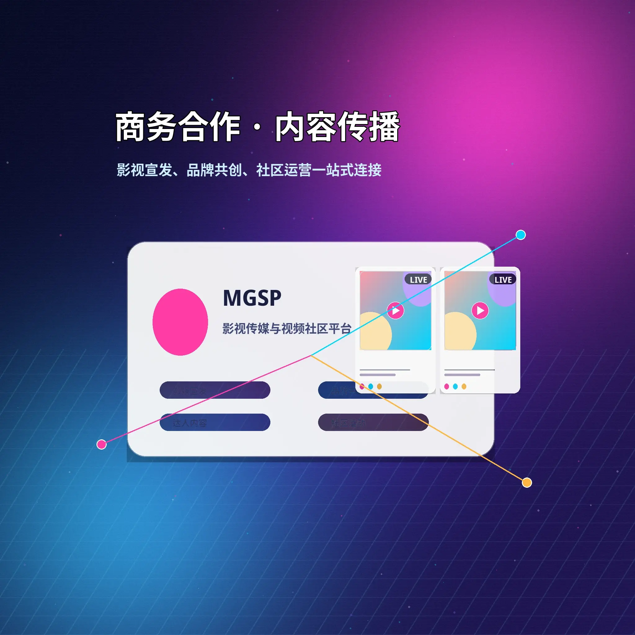 蘑菇视频服务咨询与用户反馈展示